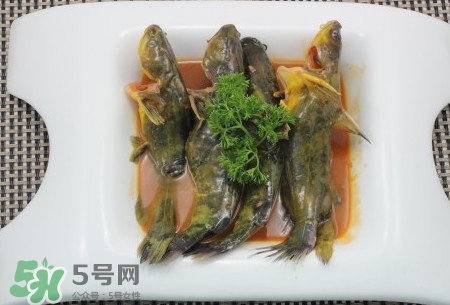 嘎魚不適合什么人吃？黃顙魚不適合什么人吃