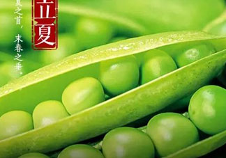 立夏吃什么好？立夏吃什么蔬菜？