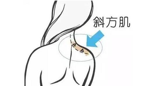 天鵝頸是什么樣的？天鵝頸怎么練？