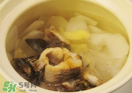 黑魚能和蘿卜一起吃嗎？黑魚能和胡蘿卜同食嗎