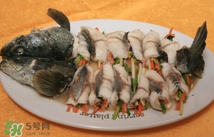 生魚是什么魚？生魚片是什么魚