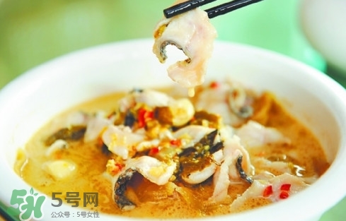 黑魚怎么做湯好喝？黑魚怎么做下奶？