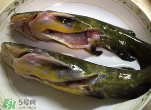 黃辣丁多少錢(qián)一斤？野生黃辣丁多少錢(qián)一斤
