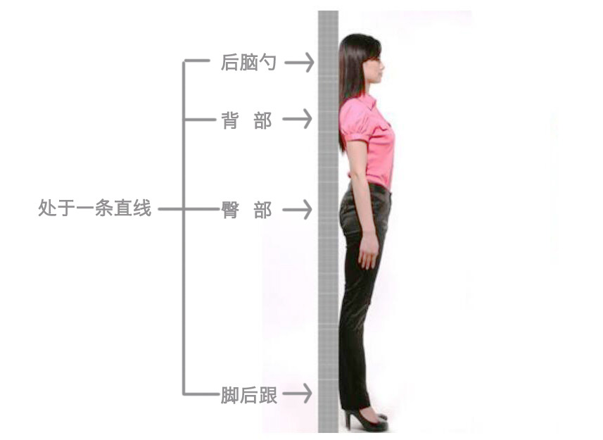 天鵝頸是什么樣的？天鵝頸怎么練？