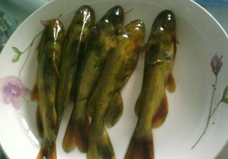 嘎魚是海魚嗎？嘎魚是什么魚