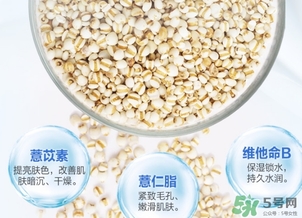 薏仁水可以天天敷嗎？薏仁水幾天敷一次？