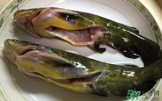 黃辣丁一斤多少錢？黃辣丁價格