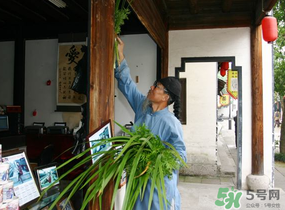 端午節(jié)門上掛的那個草叫什么？端午節(jié)掛門上的叫什么？