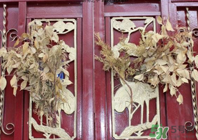端午節(jié)門上掛的那個草叫什么？端午節(jié)掛門上的叫什么？