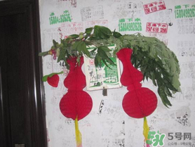 端午節(jié)門上掛的那個草叫什么？端午節(jié)掛門上的叫什么？