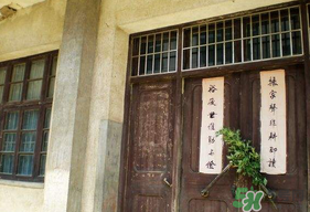 端午節(jié)插門上的是什么？端午節(jié)為什么要插艾草？