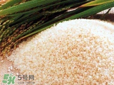 包粽子的米要泡多久？包粽子的米是什么米？