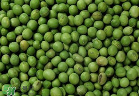 青豆可以打豆?jié){嗎？青豆能做豆?jié){嗎？