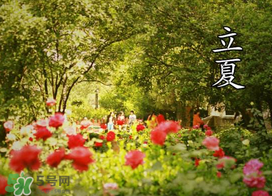 ?立夏是夏天嗎？?立夏是夏天的開始嗎？