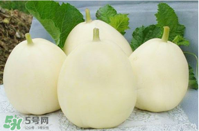 甜瓜可以帶上飛機(jī)嗎？坐飛機(jī)可以帶香瓜嗎？
