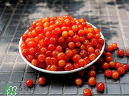 立夏嘗三新指的是什么？立夏嘗新活動