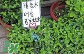 寶寶驅(qū)蚊產(chǎn)品哪個(gè)好？寶寶驅(qū)蚊用什么好？