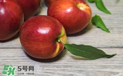 油桃什么時候成熟？油桃什么季節(jié)成熟