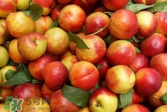 孕婦可以吃油桃嗎？孕婦能吃油桃嗎