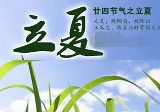 立夏后吃什么好？立夏后吃什么？