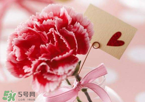 母親節(jié)要送婆婆禮物嗎？母親節(jié)要給婆婆買禮物嗎？