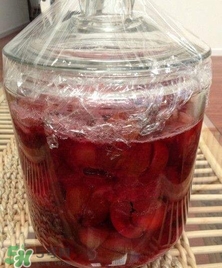 三華李能泡酒嗎？三華李怎么泡
