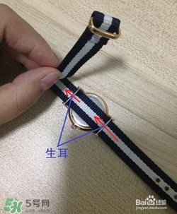 dw手表怎么調(diào)表帶？dw手表表帶太長(zhǎng)了怎么辦？