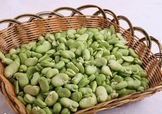 青蠶豆怎么保存？剝好的蠶豆怎么保存