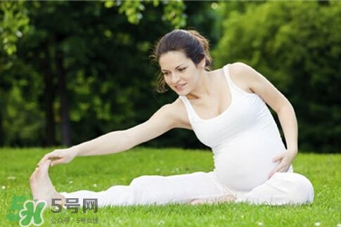 孕婦能做平板支撐嗎？孕婦能做哪些運(yùn)動(dòng)？