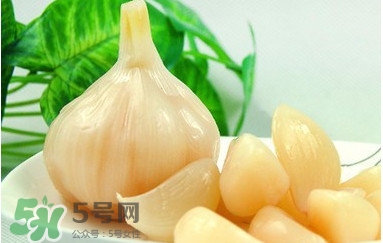 蒜頭泡醋有什么功效？蒜頭泡醋的功效和做法