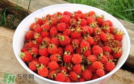 山莓是覆盆子嗎？山莓和覆盆子的區(qū)別