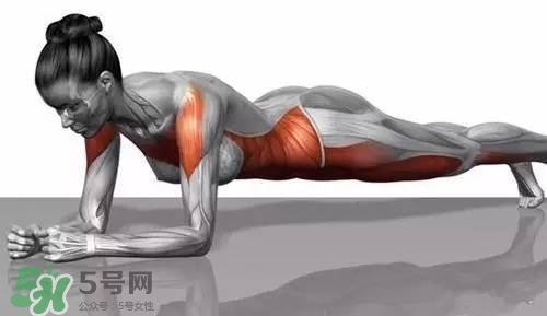 堅(jiān)持做一個(gè)月平板支撐會(huì)怎樣？女生做平板支撐一個(gè)月