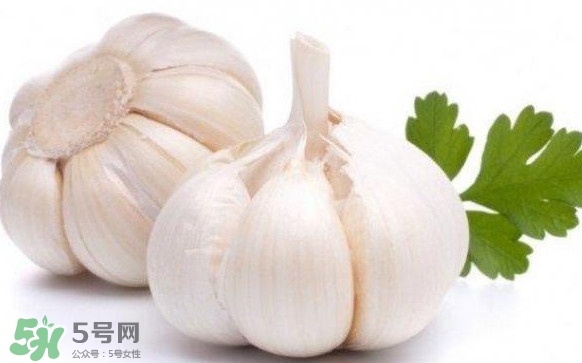 蒜頭發(fā)芽能吃嗎？蒜頭發(fā)芽可以吃嗎？