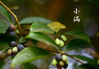 2017年小滿會(huì)下雨嗎？2017年小滿下雨好嗎？