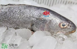 黃唇魚(yú)是黃花魚(yú)嗎？黃唇魚(yú)是黃魚(yú)嗎？