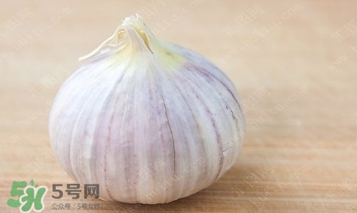 新鮮蒜頭怎么保存？蒜頭怎么保存不發(fā)芽