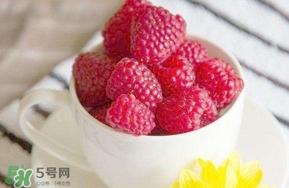 覆盆子是什么？覆盆子是樹莓嗎