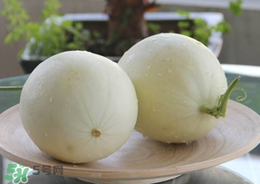 甜瓜什么人不能吃？甜瓜的食用禁忌
