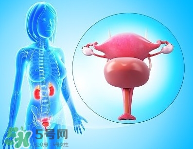 人造子宮能生孩子嗎？人造子宮初現(xiàn)曙光