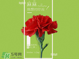 2017年母親節(jié)會打折嗎？2017年母親節(jié)有什么優(yōu)惠活動？