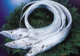 三文魚多少錢一斤2017？新鮮三文魚多少錢一條2017？