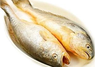 黃花魚多少錢一斤？野生黃花魚多少錢一斤