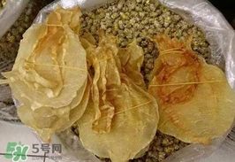金錢鳘值多少錢？金錢鳘魚膠功效
