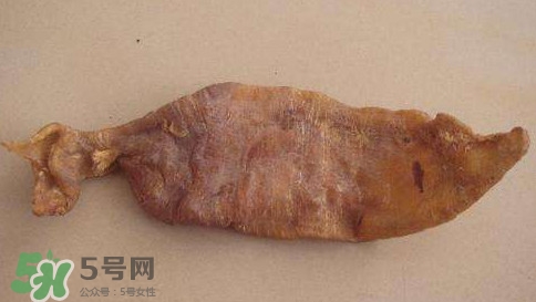 黃唇魚魚鰾是什么？魚鰾是魚的哪個部位