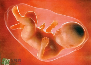 人造子宮能生孩子嗎？人造子宮成功案例