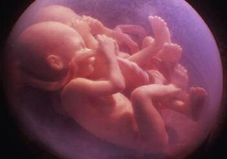 胎兒在媽媽肚子里都會干啥？胎兒的神奇世界