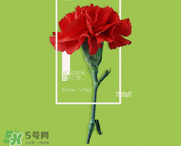 母親節(jié)送什么禮物給老婆？2017年母親節(jié)送老婆禮物推薦