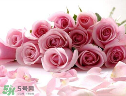 母親節(jié)送什么禮物給老婆？2017年母親節(jié)送老婆禮物推薦