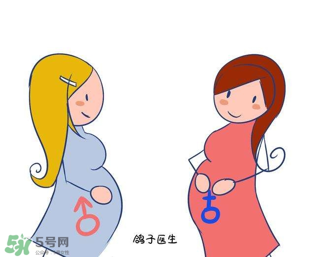 怎么問醫(yī)生胎兒性別？醫(yī)生會告訴胎兒性別嗎？