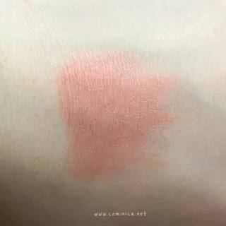 西柚色口紅有哪些？西柚色口紅推薦